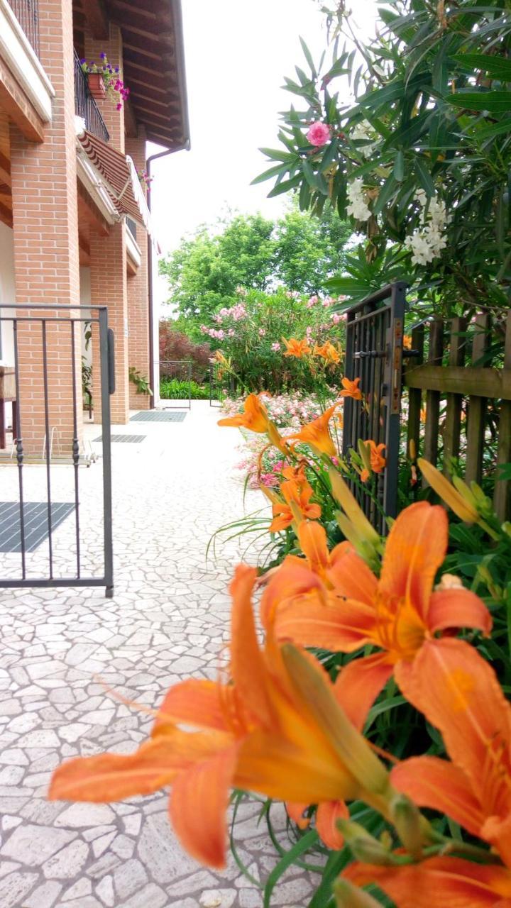 Agriturismo Il Magicorto Cassola Exterior photo