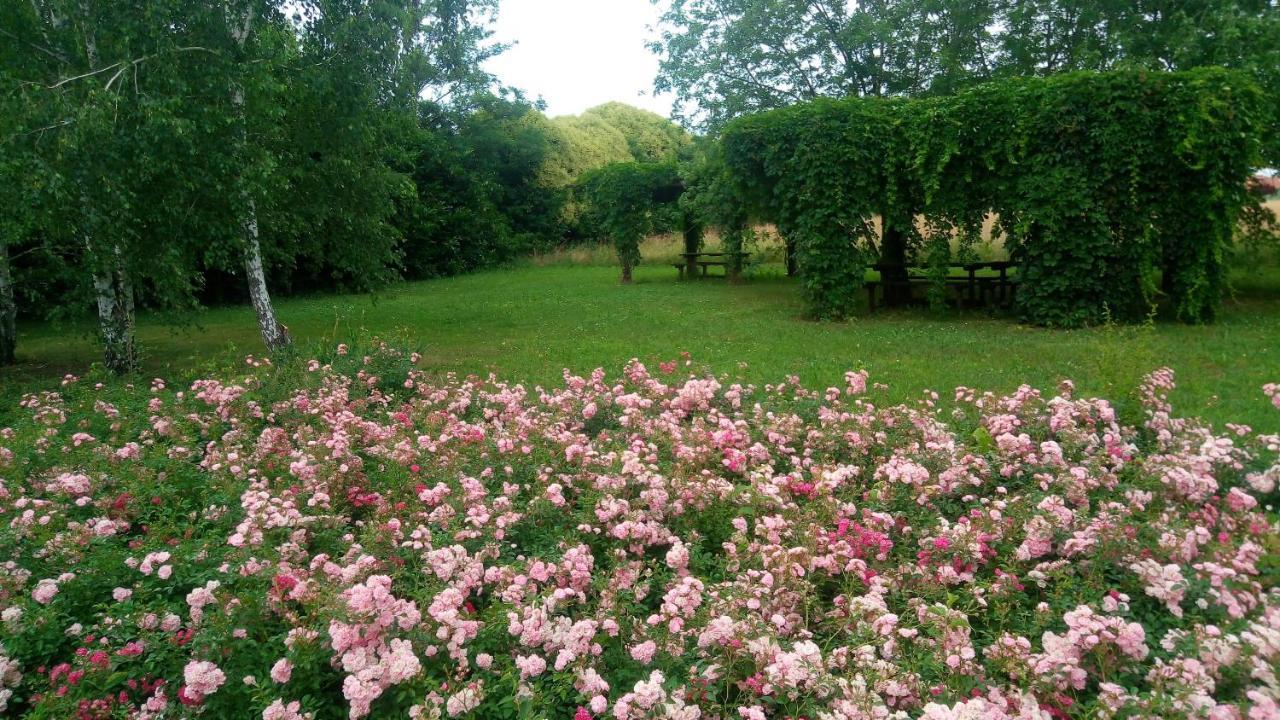 Agriturismo Il Magicorto Cassola Exterior photo