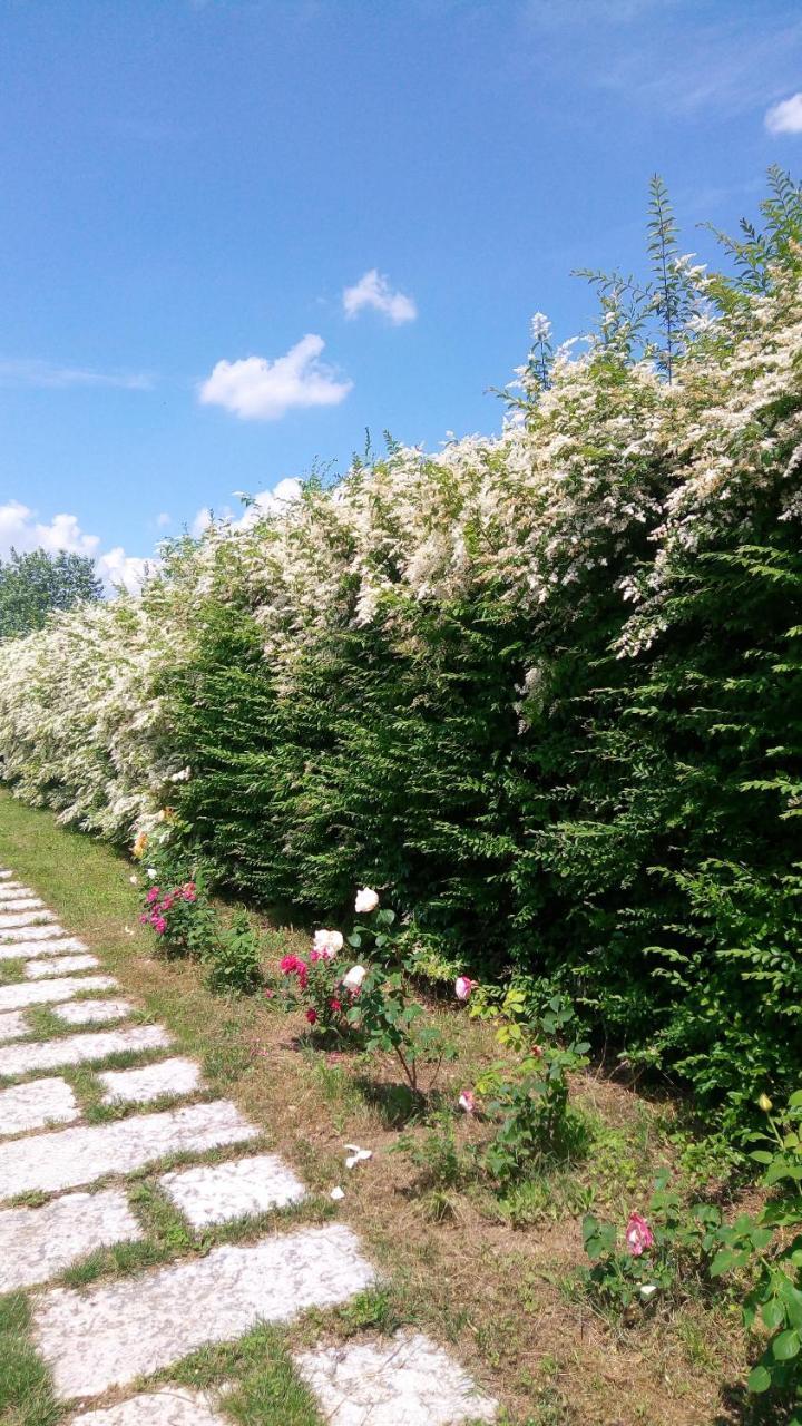 Agriturismo Il Magicorto Cassola Exterior photo